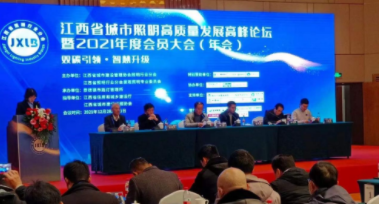 爱游戏网页版-爱游戏(中国)受邀参加江西省城市照明高质量发展高峰论坛